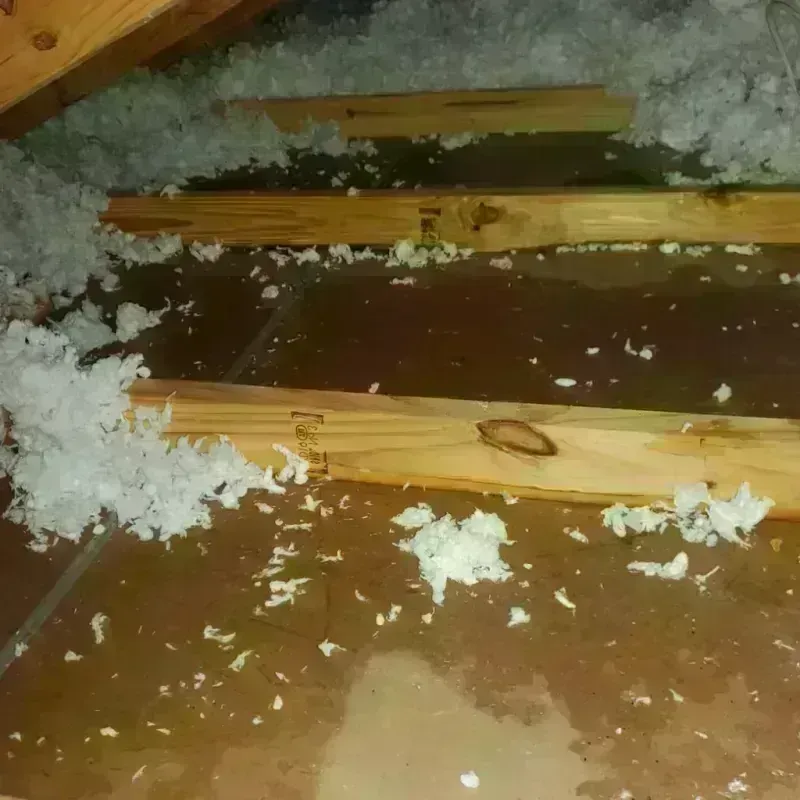 Attic Water Damage in Box Butte County, NE